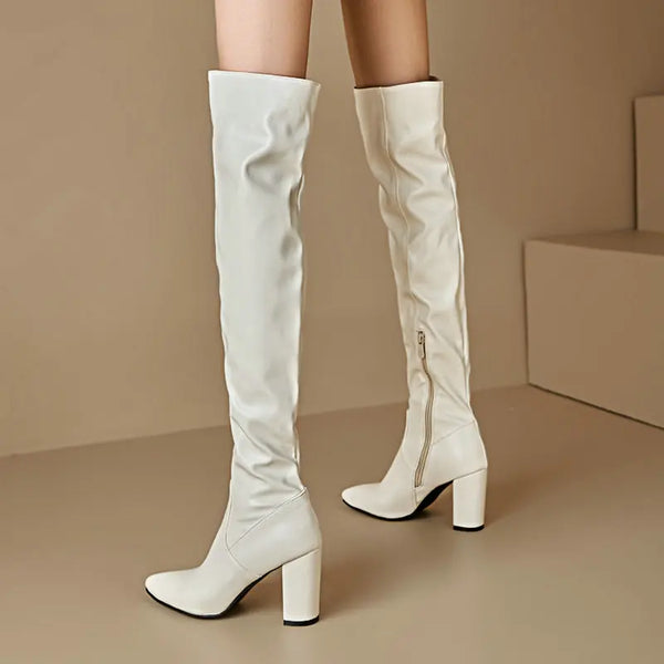 Women Over the Knee Boots Pointed Toe Square High Heel Ladies Long Boots
