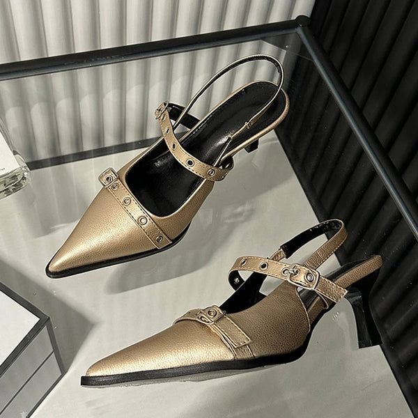 Spring Autumn Women Pumps Fashion Metal Buckle Pointed Toe Low Thin Heeled Sandal
